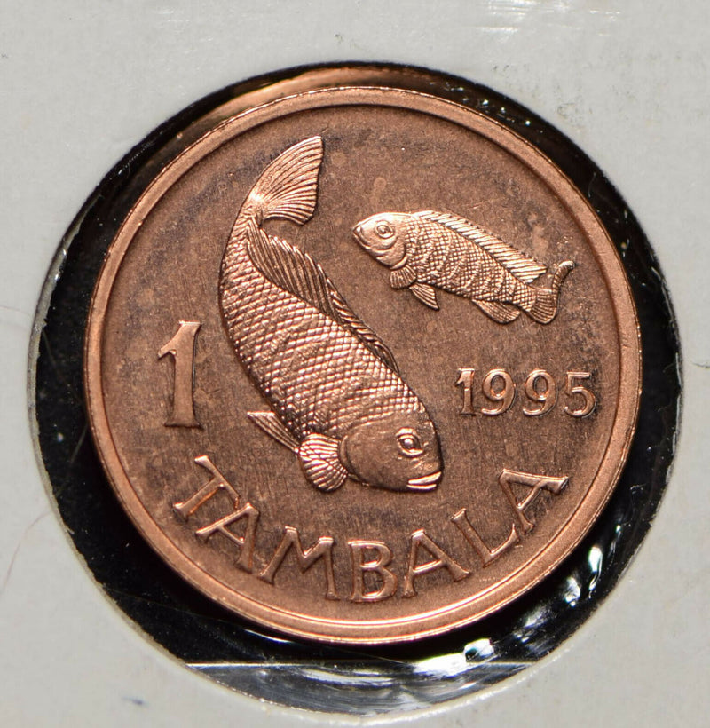Malawi 1995 Tambala Talapia Fish animal  901296 combine shipping
