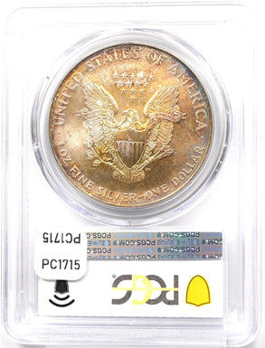 1996 Silver Eagle Gorgeous Monster Rainbow Blue/Orange Toning! PCGS MS67 PC1715