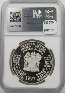 44037186