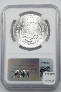 45508579