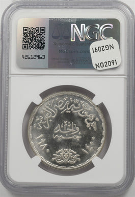 44037187