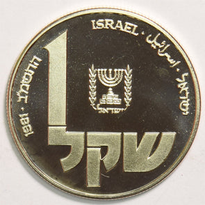 Israel 1981 Sheqel Proof Polish lamp 299588 combine shipping