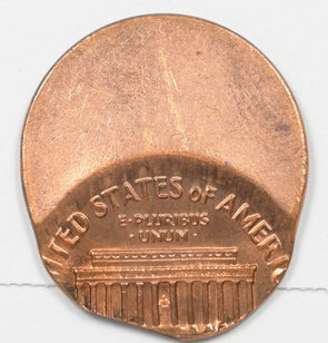 44603597
