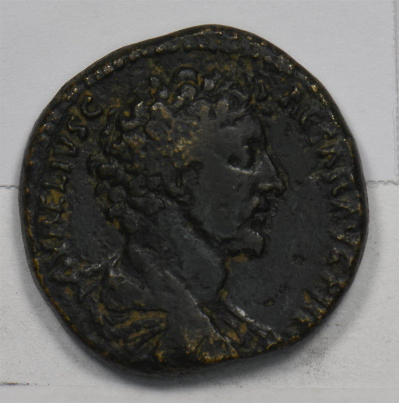 47838077