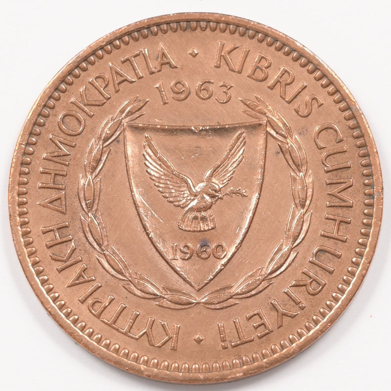47876520