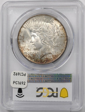 1923 Peace Dollar Silver Gorgeous Monster Deep Orange/Black Toning! PCGS MS63 PC