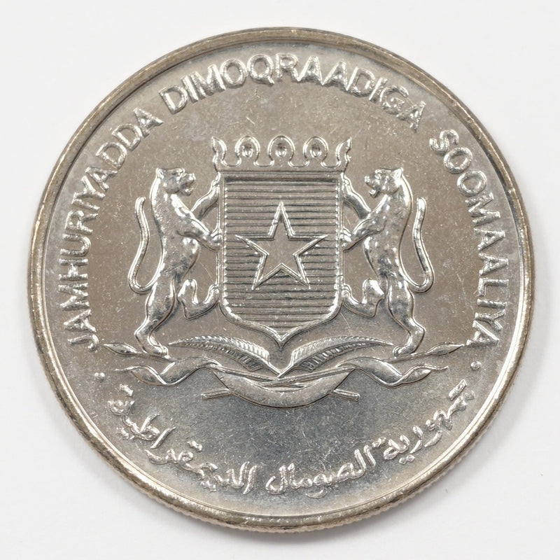 47845831