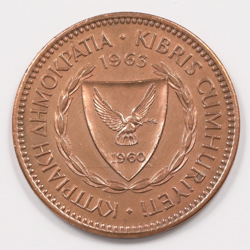 47876537