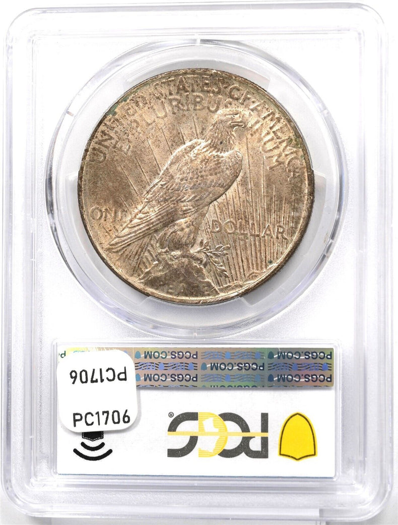1922 Peace Dollar Silver Gorgeous Monster Toning! PCGS MS63 PC1706