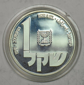 Israel 1981 Sheqel silver Proof Hanukka coin. Hanukkiya from Poland. Marked with