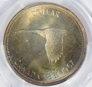 Canada 1967 Dollar silver PCGS MS64 stunning blue golden toning PC0299 combine s