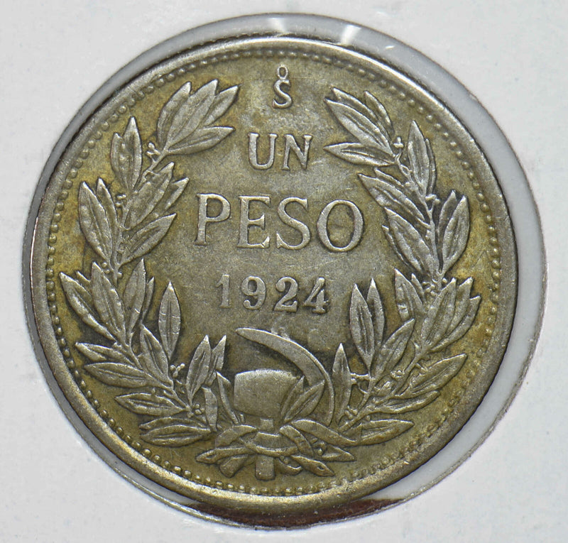 Chile 1924 Peso Vulture animal 291166 combine shipping