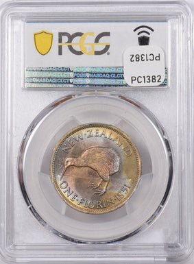 New Zealand 1951 Florin Kiwi Bird animal PCGS MS 64 Blue, Gold + Pink Color Toni