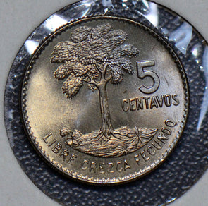 Guatemala 1965 5 Centavos bird animal Gem BU tree G0041 combine shipping