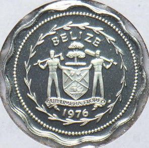 Belize 1976 Cent Swallow-tailed Kite animal Proof 192843 combine shipping