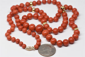 14K Gold Red Coral Size 28" Necklace