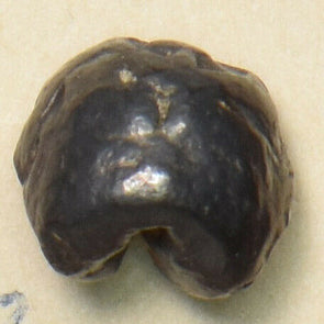 Thailand/Siam 1851 ~68 1/8 Baht Bullet money, Pra Tao. Bangkok Dynasty Rama IV B