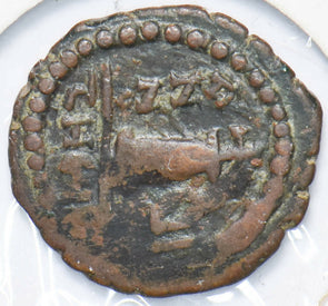 Roman 206 BC~400AD Didrachm 292484 combine shipping