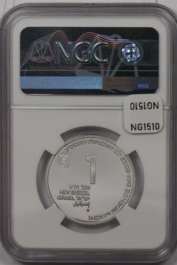 Israel 2002 New Sheqel silver NGC MS 69 Volunteering NG1510 combine shipping