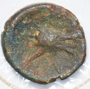 Roman 205 BC~400AD Didrachm 292483 combine shipping